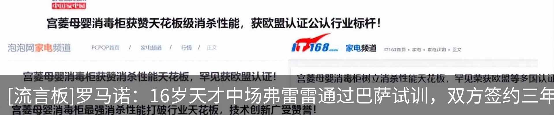 新闻动态